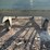 #131-•-lumber-carts-image-26