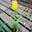#439-•-metal-yard-art-image-17