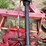 rowse-d9-image-11