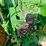 1999-john-deere-8300-image-11