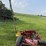 2009-rowse-d9-image-3