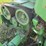 john-deere-3975-image-25