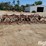 wil-rich-23'-field-cultivator-w/-3-bar-tined-harrow-image-6