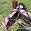 bush-hog-176-10-image-10