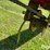 peck-1002-image-20