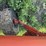 case-ih-8220-image-26