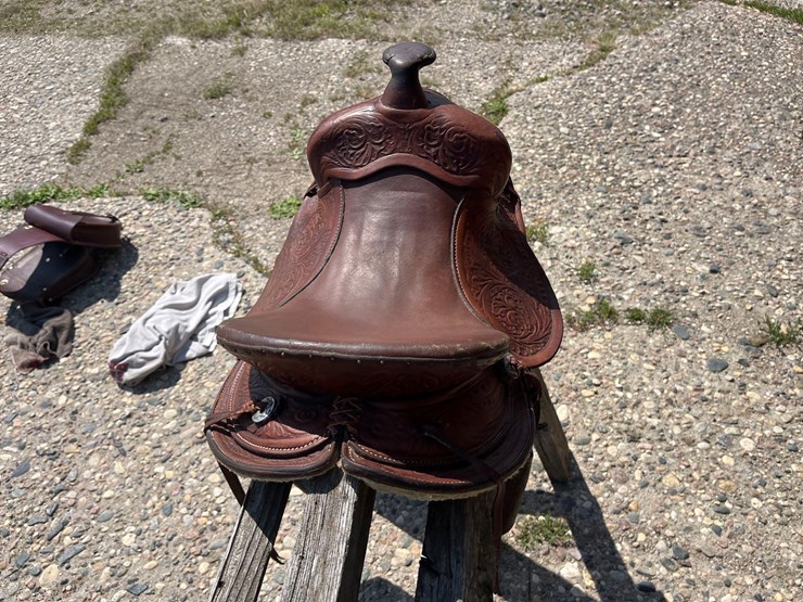 youth-saddle-image-5