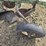 john-deere-5-image-8