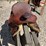 youth-saddle-image-3