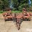 international-21-image-2