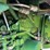 1982-john-deere-4040-image-20