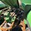 2011-john-deere-612c-image-25