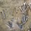 assortment-of-tools-image-4