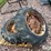allis-chalmers-ca-image-2