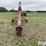 sudenga-td450-image-2