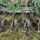 2007-john-deere-1895-image-6