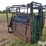 big-valley-6011-head-squeeze/cattle-chute-image-3