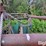 big-valley-6011-head-squeeze/cattle-chute-image-10