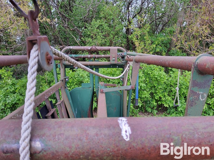 big-valley-6011-head-squeeze/cattle-chute-image-10