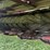 2020-case-ih-dc163-image-6