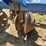 blu-jet-track-master-image-10