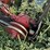 rowse-d9-image-6