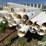 shop-built-trailer-w/poly-pipe-image-11