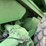 john-deere-7721-image-11
