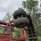 wilrich-7610-3-image-5