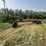 truck-frame-trailer-image-1