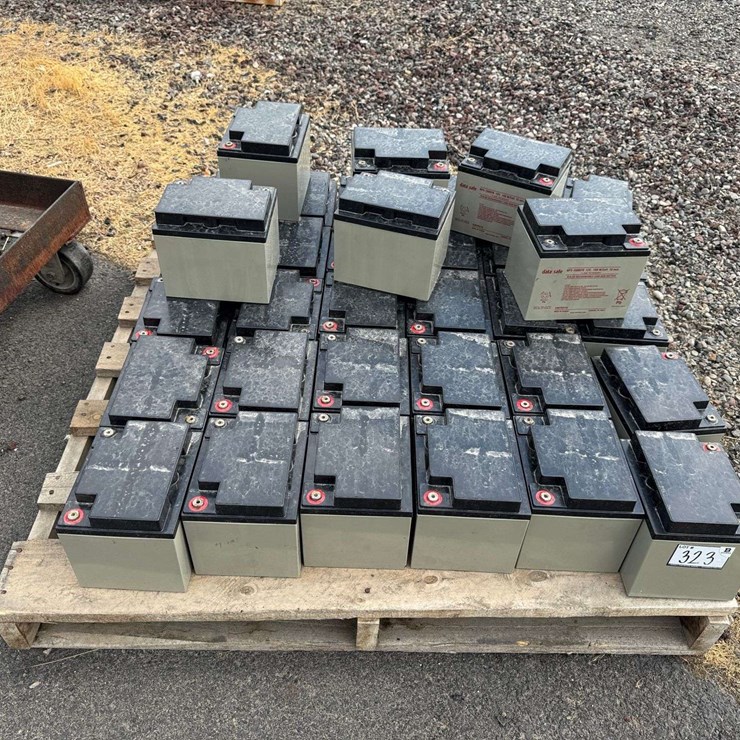 UPS Batteries