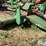 john-deere-1508-image-19