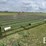2009-lorenz-16x33-image-2