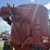 case-ih-1250-image-20