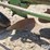 john-deere-5-image-10