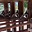 24'-freestanding-livestock-panels-w/gate-image-20