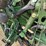 2024-john-deere-hd40r-image-33