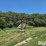 west-pt-design-shade-all-livestock-shade-image-3