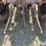 ford-9n-image-10