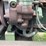 john-deere-6950-image-50