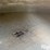 butler-5500-bushel-bin-image-12