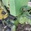 1964-john-deere-3020-image-14