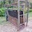big-valley-6011-head-squeeze/cattle-chute-image-7