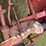 case-ih-1300-image-12