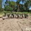 john-deere-5-image-8