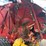 2019-new-holland-roll-belt-560-image-13