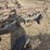 john-deere-5-image-13