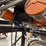 carrier-pellet-vibrating/air-dryer-image-11