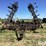 john-deere-960-image-2