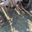 ford-9n-image-12
